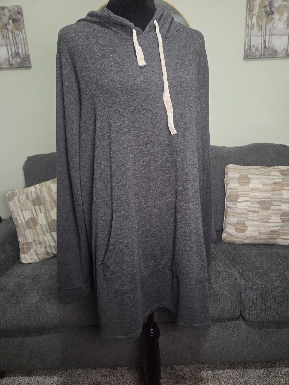 Cozy Women's Hooded Dress in Charcoal Gray